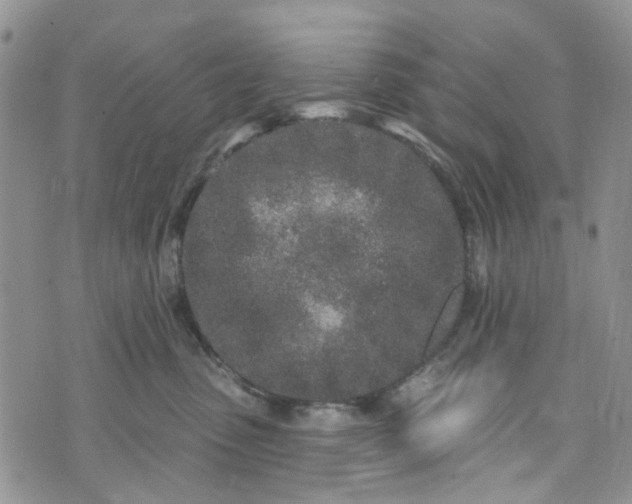 X0000072990475200608041313