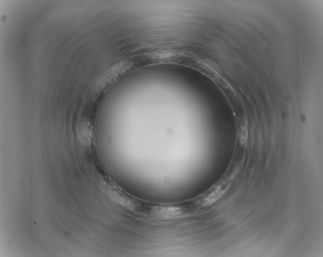 X0000072990476200608041313