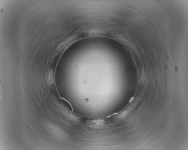 X0000072990478200608041313