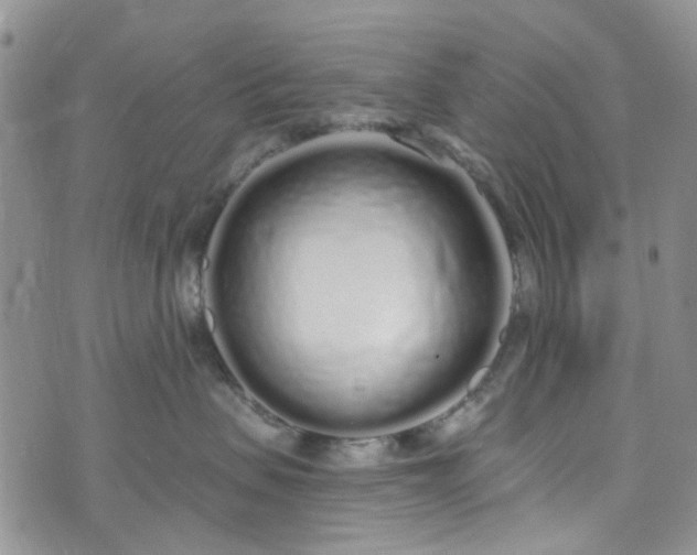 X0000072990479200608041313