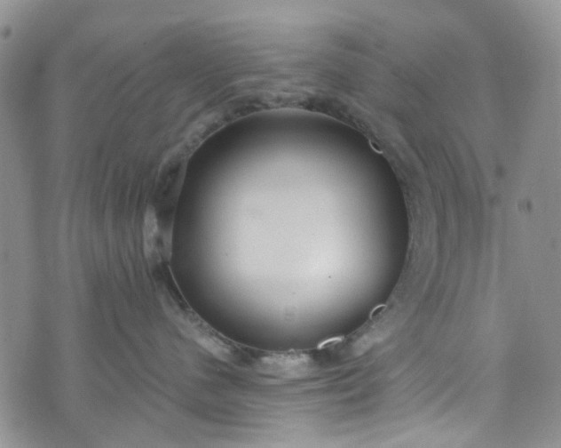 X0000072990480200608041313