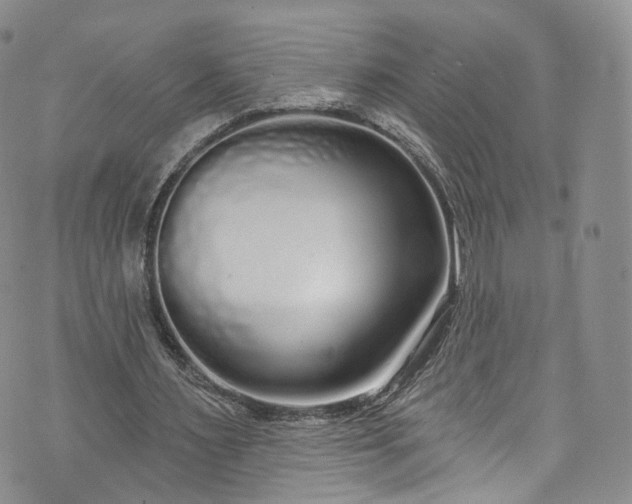 X0000072990483200608041312