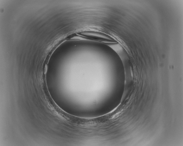 X0000072990485200608041312