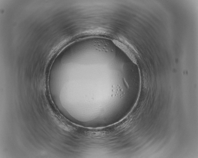 X0000072990486200608041312