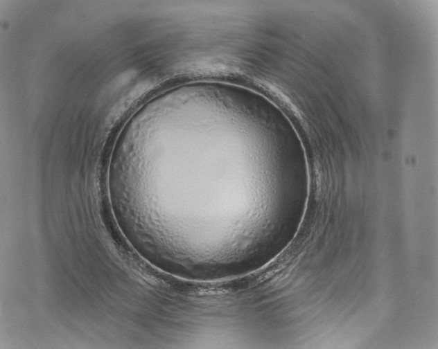 X0000072990487200608041312