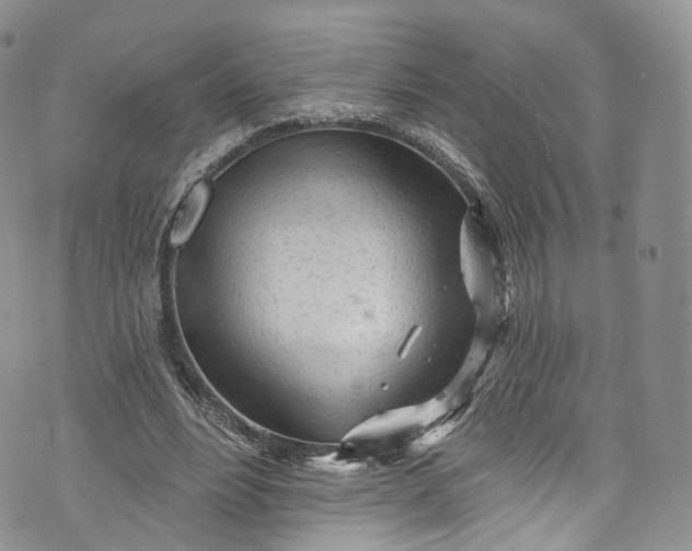 X0000072990488200608041312