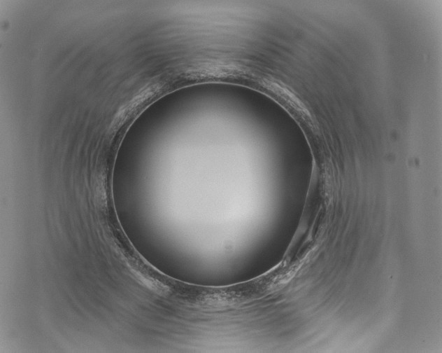 X0000072990489200608041312