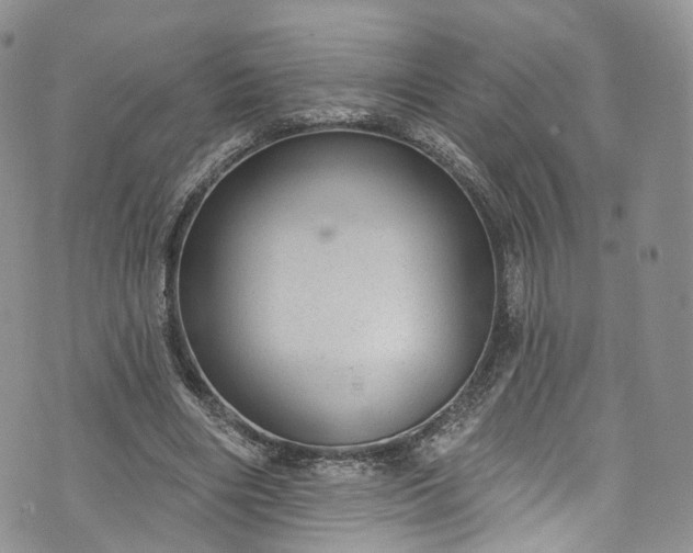 X0000072990490200608041312