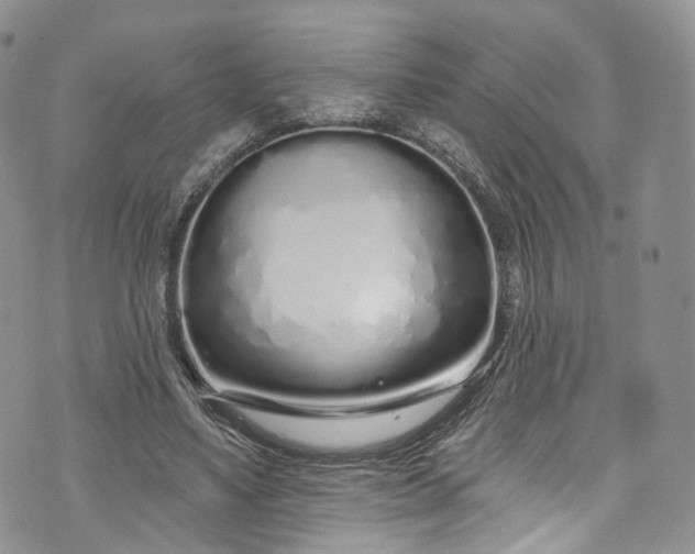 X0000072990491200608041312