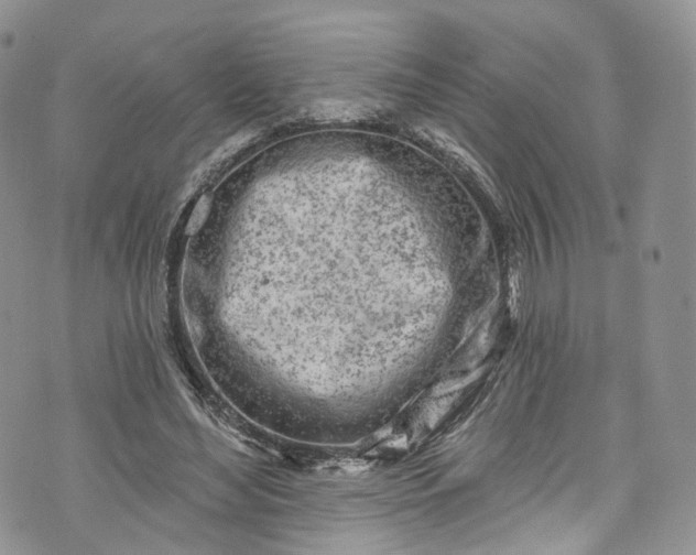 X0000072990492200608041312