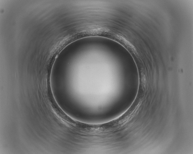 X0000072990493200608041312