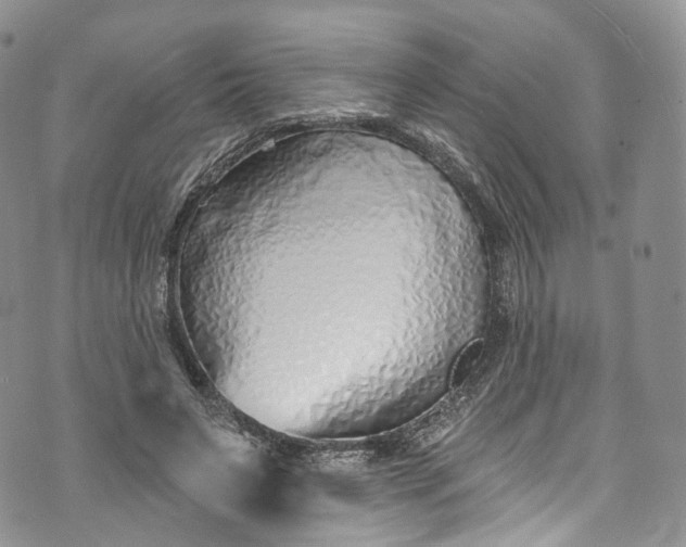 X0000072990495200608041312