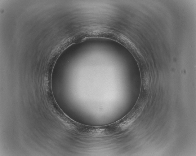 X0000072990497200608041312