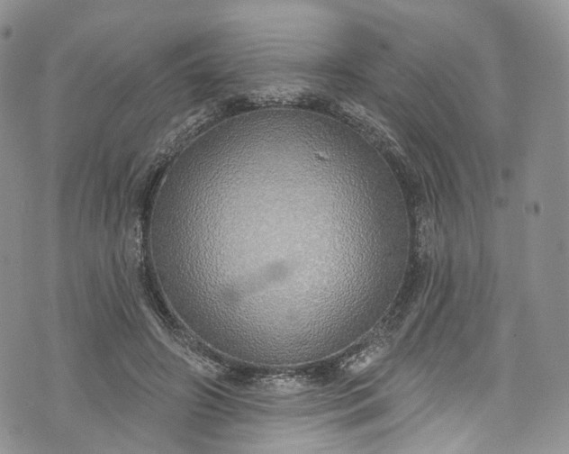 X0000072990498200608041312