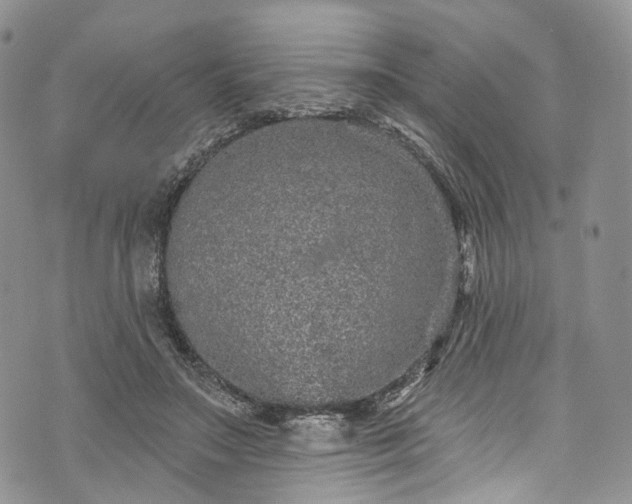 X0000072990499200608041312