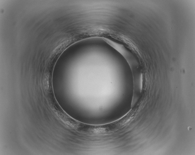 X0000072990501200608041312