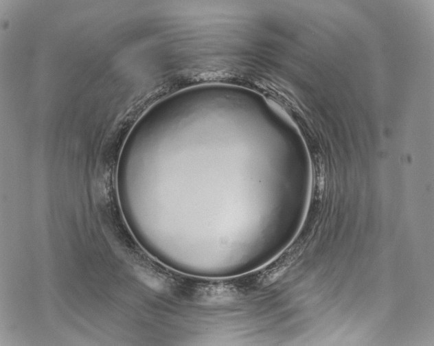 X0000072990503200608041312