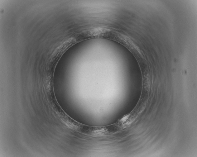 X0000072990505200608041311