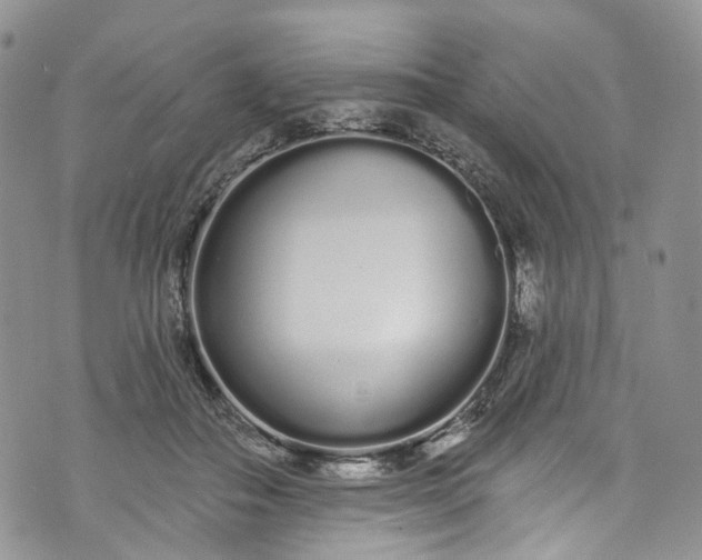 X0000072990506200608041311