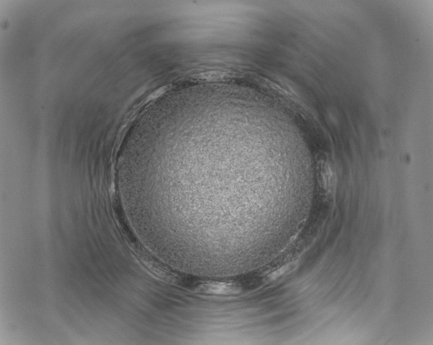 X0000072990507200608041311