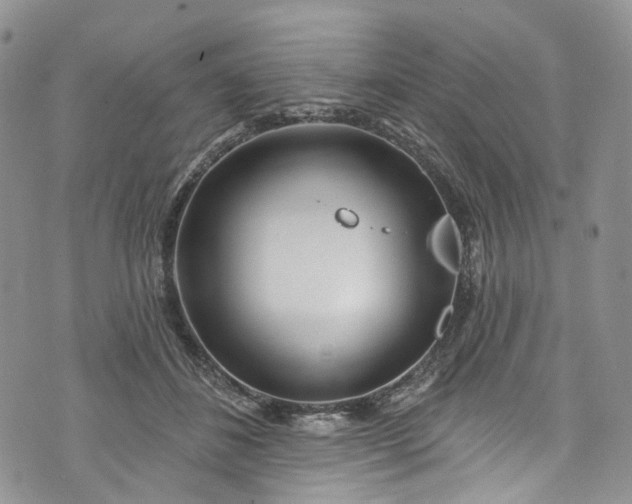 X0000072990508200608041311