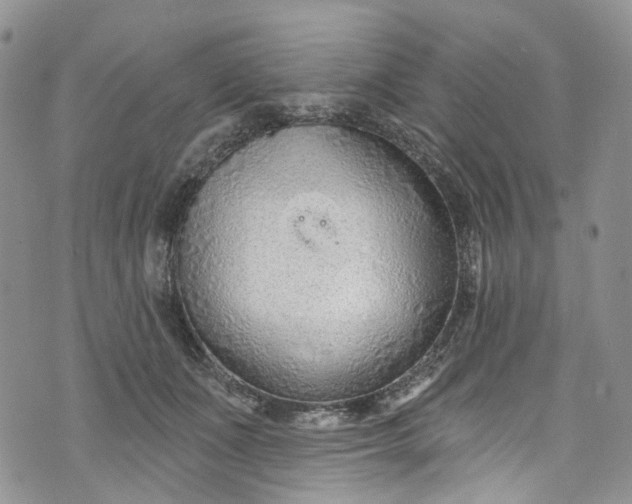 X0000072990511200608041311