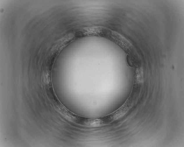 X0000072990514200608041311