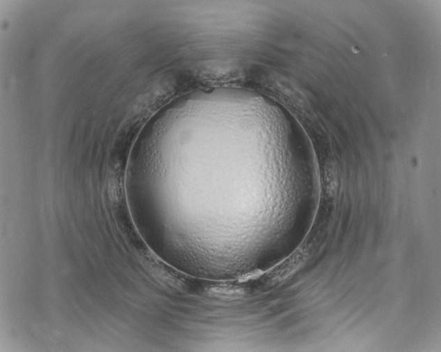 X0000072990515200608041311