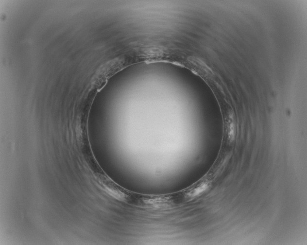 X0000072990516200608041311