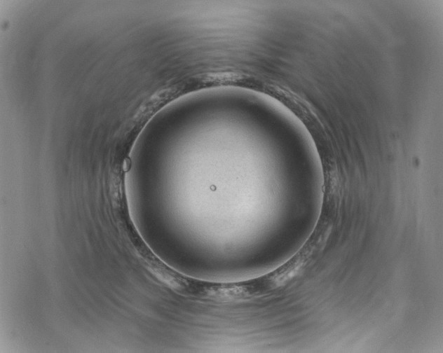 X0000072990517200608041311