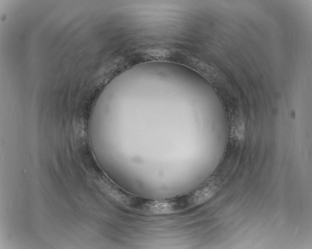 X0000072990518200608041311