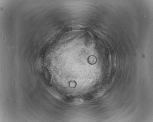 X0000072990519200608041311