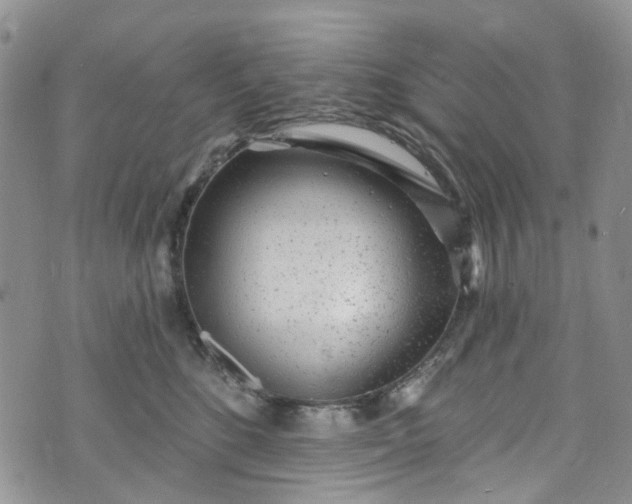 X0000072990520200608041311