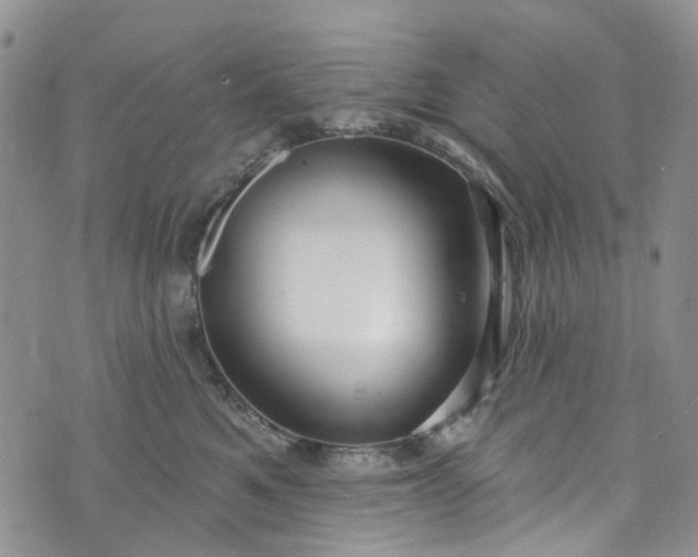 X0000072990521200608041311