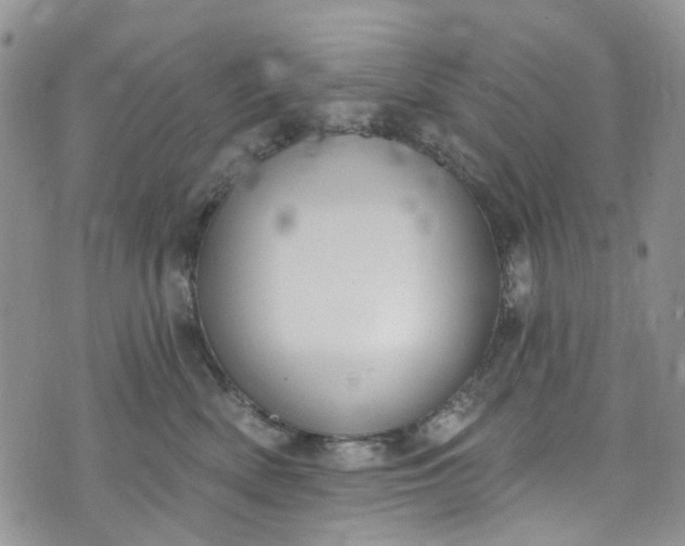 X0000072990522200608041311