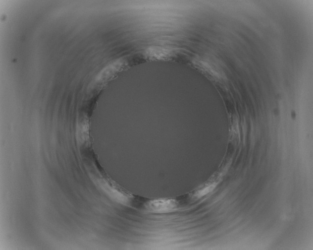 X0000072990526200608041311