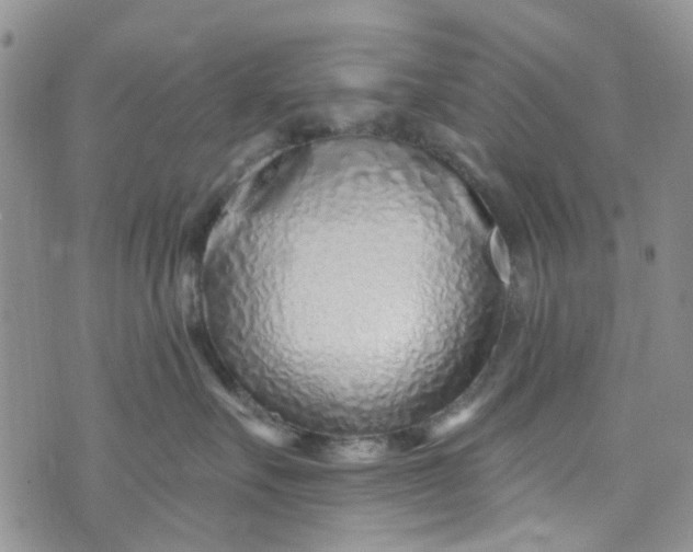 X0000072990527200608041311