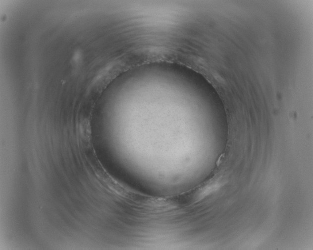 X0000072990528200608041311