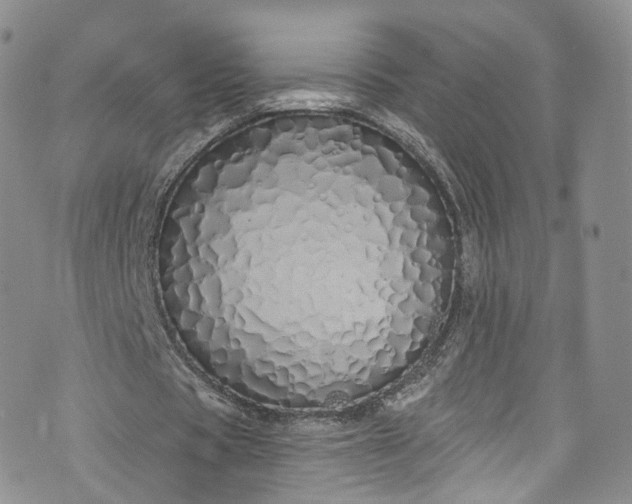 X0000072990529200608041310