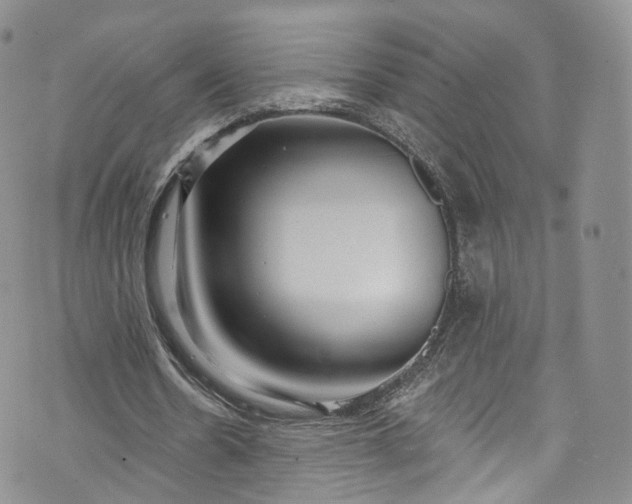 X0000072990530200608041310