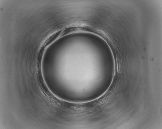 X0000072990531200608041310