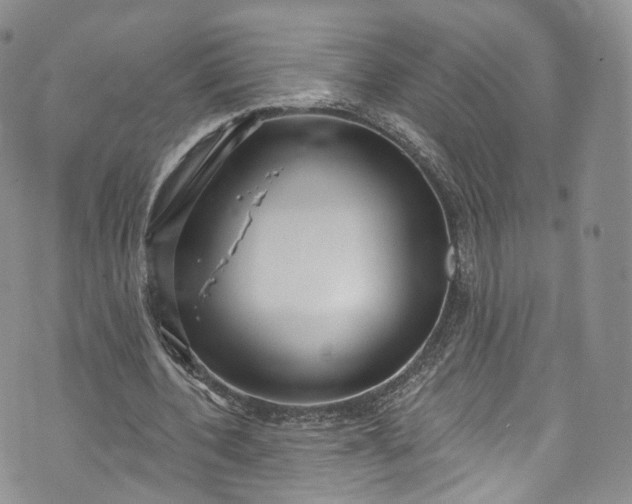 X0000072990532200608041310