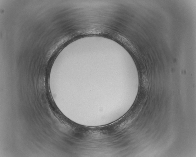 X0000072990534200608041310