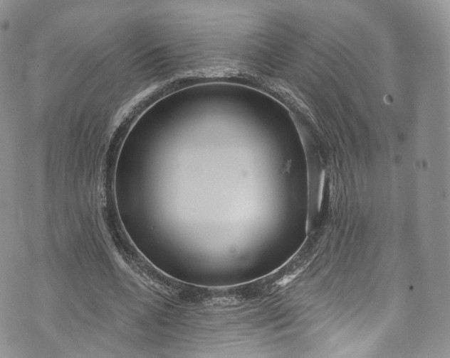 X0000072990536200608041310