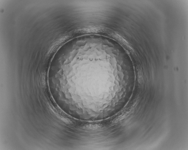 X0000072990537200608041310