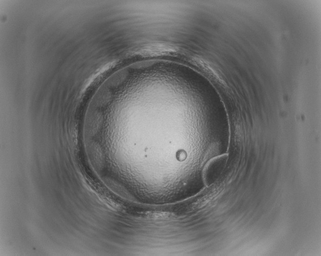 X0000072990539200608041311