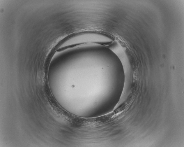 X0000072990540200608041311