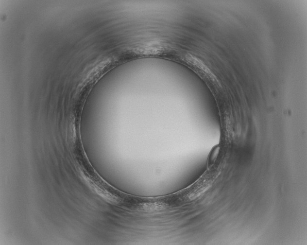 X0000072990541200608041311