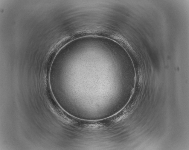 X0000072990542200608041311