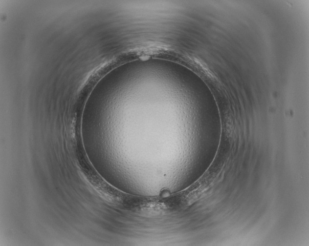 X0000072990543200608041311